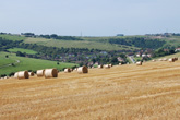 8 August 2007 East end of Lower Bevendean Estate