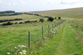 8 August 2007 Juggs Lane from Falmer Road to Lewes