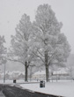 6 April 2008 Snow in The Avenue at Bevendean