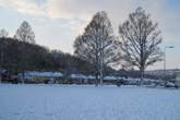8 January 2010 Snow in The Avenue