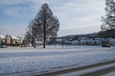 8 January 2010 Snow in The Avenue