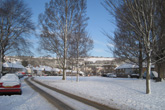 8 January 2010 Snow in The Avenue