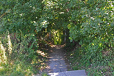 30 July 2010 Steps at Jacobs Ladder from Avenue to Jevington Drive