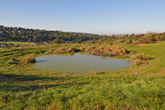 20 October 2010 Dew Pond by Juggs Lane at Bevendean