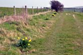 22 March 2012 Juggs Lane on Bevendean Down