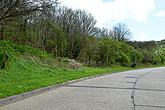 8 April 2014 Heath Hill Avenue Trees