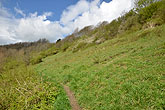 8 April 2014 Grass Bank above Heath Hill Avenue