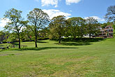 3 May 2014 Farm Green Bevendean
