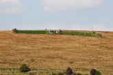 13 September 2014 Bevendean Reservoir from Fitch Drive