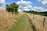 2013-08-06 Bevendean Down Juggs Lane