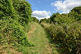 2013-08-06 Bevendean Down Juggs Lane