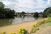 10 August 2013 Falmer pond from East Street