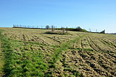 16 November 2013 Path Upper Bevendean Avenue to Bevendean Down Reservoir