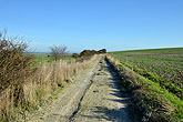 16 November 2013 Juggs Lane to Falmer over Bevendean Down