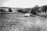 1930c Coldean Lane Farm and Cottages