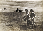 1942 Planting Potatoes in Fields off Coldean Lane