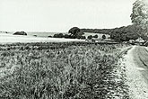7 September 1949 Coldean view towards Old Boat Corner near Coldean Farm
