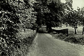 6 July 1954 Coldean Lane Improvements nr Coldean School view SE (before)