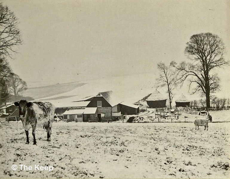 Coldean Farm with Snow Barn in background