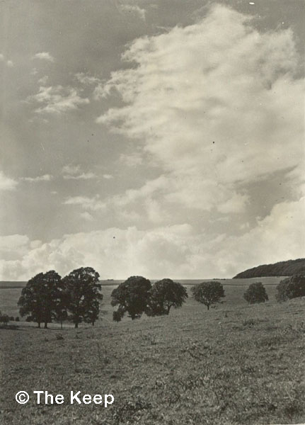 Coldean Farm with Coldean Lane on right