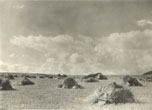 Coldean Farm in 1930s