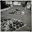 1950s No_69 Heath Hill Avenue flower beds in 1953