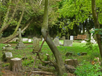 Falmer Cemetery in May 2021