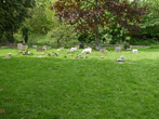 Falmer Cemetery in May 2021