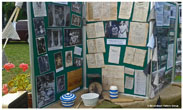 Display-2