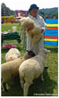 Gary_Mayer-2