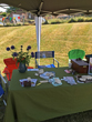 Bevendean History Group Display Table