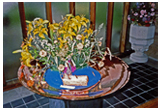 1980s Holy Nativity Church Flower display - 24