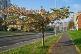 Lewes Road by Bates Estate on 12 April 2020