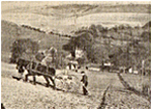2 Dec 1939 Bevendean Farm