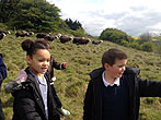 17 May 2013 Walk to see Sheep
