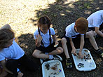 3 June 2013 Archaeology at Bevendean School