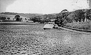 1930c Coldean Lane Farm & Cottages