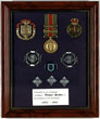 19991 Douglas Brown badge display