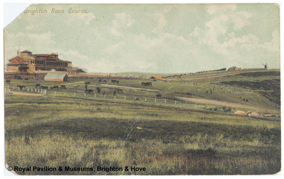 Brighton Race Course c1900